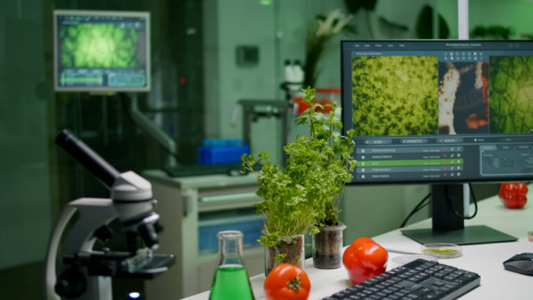 BTech Biotechnology