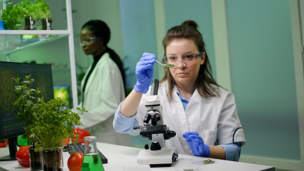 btech biotechnology, biotech course details, biotechnology engineering